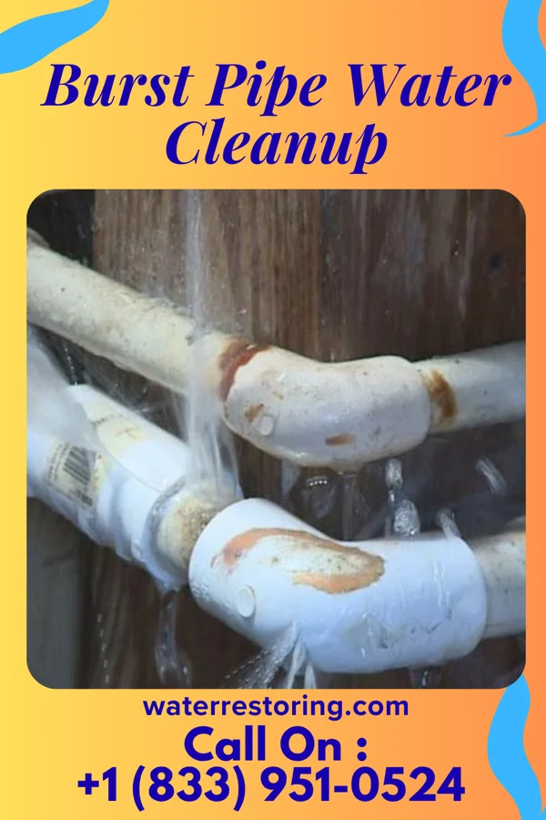 Burst Pipe Water Cleanup in Orchid, FL