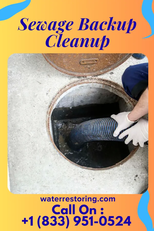 Sewage Backup Cleanup in Orchid, FL