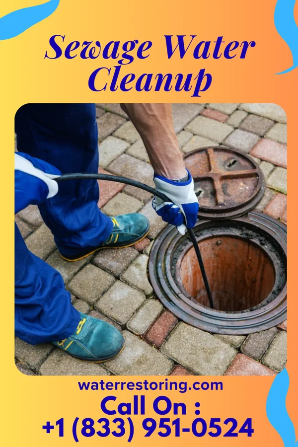 Sewage Water Cleanup in Orchid, FL